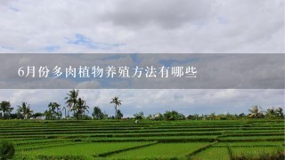 6月份多肉植物养殖方法有哪些