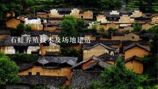 石蛙养殖技术及场地建造