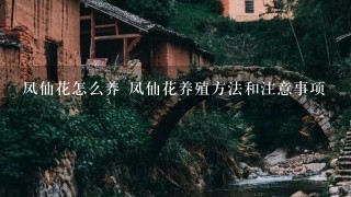 凤仙花怎么养 凤仙花养殖方法和注意事项