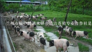 兰州市榆中县清水驿乡清洁养殖专业合作社是干嘛的