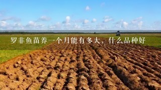 罗非鱼苗养1个月能有多大，什么品种好