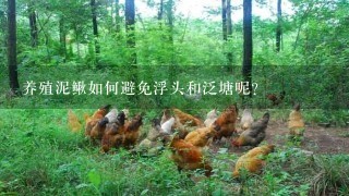 养殖泥鳅如何避免浮头和泛塘呢？