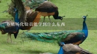 养殖场化验员能学到什么东西