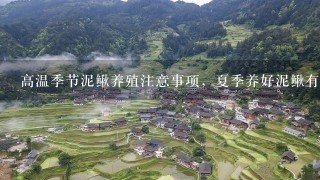 高温季节泥鳅养殖注意事项，夏季养好泥鳅有几点