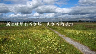 新疆哪里有养驴场，肉驴养殖基地