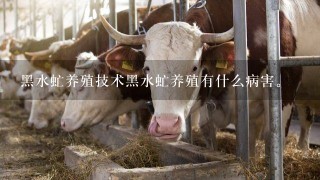 黑水虻养殖技术黑水虻养殖有什么病害。