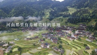 河南那里有养殖青蛙的基地