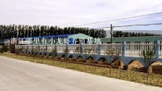 浙江哪里有小龙虾养殖基地