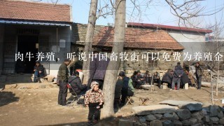 肉牛养殖，听说中国畜牧街可以免费为养殖企业建立企业网站、发布产品?