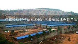 仔猪价格行情信息2010江苏养殖基地今日苗猪市场价格行情今日猪价信息咨询中