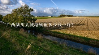 广西陆川县城塘鲺鱼多少钱1斤？