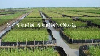 怎样养殖蚂蟥 养殖蚂蟥的6种方法