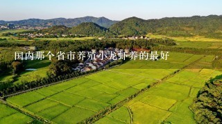 国内那个省市养殖小龙虾养的最好