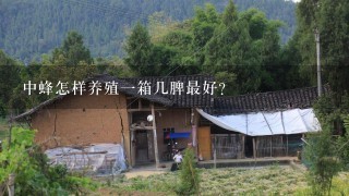 中蜂怎样养殖1箱几脾最好？