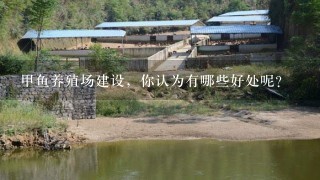 甲鱼养殖场建设，你认为有哪些好处呢？