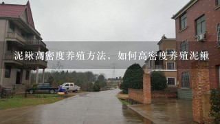 泥鳅高密度养殖方法，如何高密度养殖泥鳅