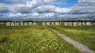 致富经节目里的，养殖大鹅厂家给建设大棚，1个棚里养1千只，1次出栏可以挣67万，是真的吗？