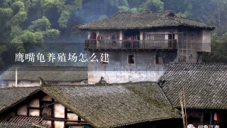 鹰嘴龟养殖场怎么建