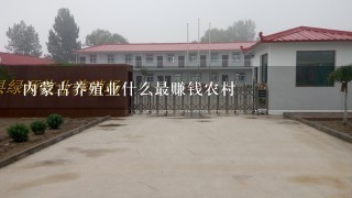 内蒙古养殖业什么最赚钱农村