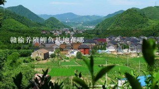 赣榆养殖鲤鱼基地在哪