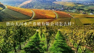 唐山天河水产养殖有限公司怎么样？