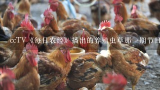 ccTV《每日农经》播出的养殖虫草那1期节目是真的吗？