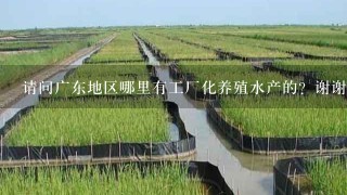 请问广东地区哪里有工厂化养殖水产的？谢谢？