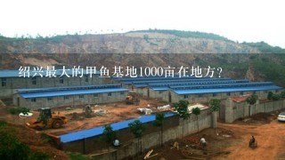 绍兴最大的甲鱼基地1000亩在地方?