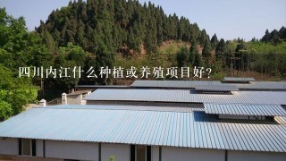 4川内江什么种植或养殖项目好？