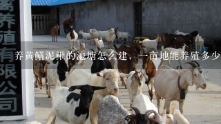 养黄鳝泥鳅的池塘怎么建，1亩地能养殖多少黄鳝