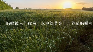 蚂蝗被人们称为“水中软黄金”，养殖蚂蟥可以挣到钱