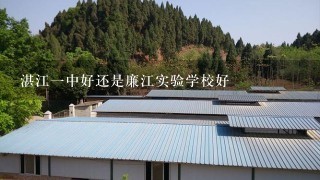 湛江1中好还是廉江实验学校好