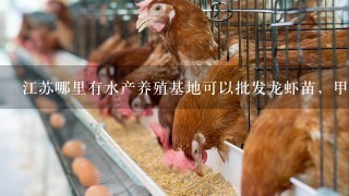 江苏哪里有水产养殖基地可以批发龙虾苗，甲鱼苗和（泥鳅苗或黄鳝苗）？