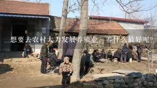 想要去农村大力发展养殖业，养什么最好呢？