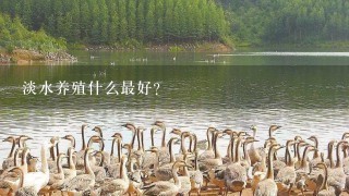 淡水养殖什么最好？