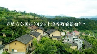 养殖商务预报2016年土鸡养殖前景如何？