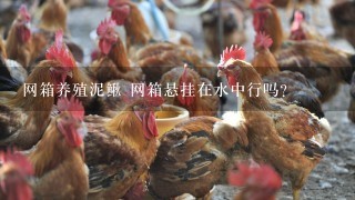 网箱养殖泥鳅 网箱悬挂在水中行吗？