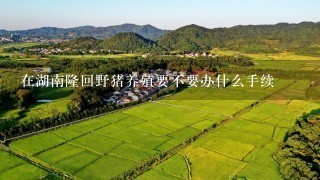 在湖南隆回野猪养殖要不要办什么手续