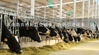 求肉鸽养殖场投资成本，肉鸽引进成本、饲养成本、收益