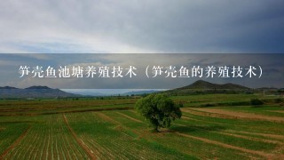 笋壳鱼池塘养殖技术（笋壳鱼的养殖技术）