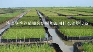 谈谈冬季养殖棚舍供暖加温用什么锅炉设备