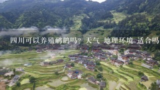 4川可以养殖鸸鹋吗？天气 地理环境 适合吗？