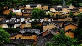 如何合理建设肉鸭养殖大棚?