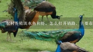 农村养殖淡水鱼和虾，怎么打开销路，主要市场在哪？