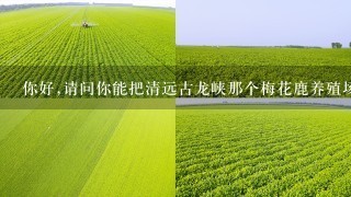 你好,请问你能把清远古龙峡那个梅花鹿养殖场具体地点给我听吗,