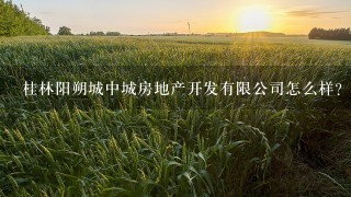 桂林阳朔城中城房地产开发有限公司怎么样？