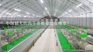 中国最大的肉牛养殖基地在哪里？