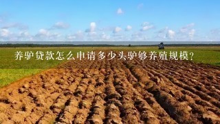 养驴贷款怎么申请多少头驴够养殖规模？