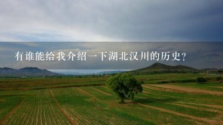 有谁能给我介绍1下湖北汉川的历史？