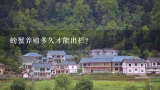 螃蟹养殖多久才能出栏？